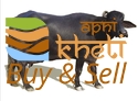 idea99indian-buffalo-125x125-1-.png