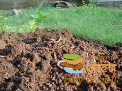 idea99organic-manure-250x250.jpeg