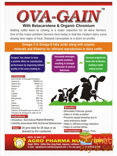 idea99ova-gain-for-cattle-459.jpg