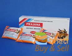 idea99prajna-250x250.jpg