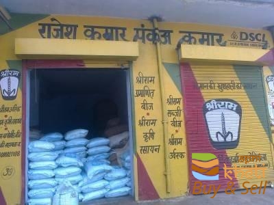 idea99rajesh-kumar-pankaj-kumar-singhana-jhunjhunu-seed-retailers-gk8cmp.jpg