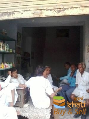 idea99rajkumar-traders-jhalawar-ho-jhalawar-seed-retailers-6ohwsr6.jpg