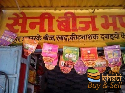 idea99saini-beej-bandar-chirawa-jhunjhunu-seed-retailers-2t493j8.jpg