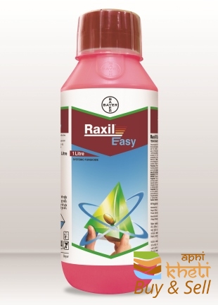 idea99sg-raxil-easy.jpg