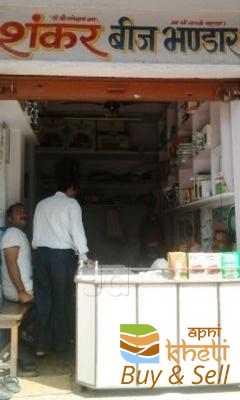 idea99shankar-beej-bhandar-jhunjhunu-ho-jhunjhunu-pesticide-dealers-3gvrv4m.jpg