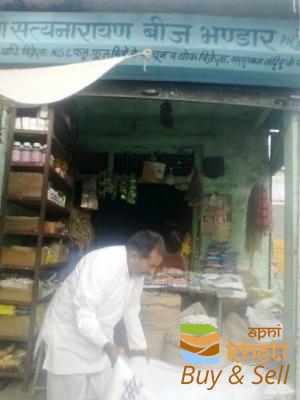idea99shree-satya-narayan-beej-bhandar-bhinmal-jalore-agriculture-seed-dealers-p6py66.jpg
