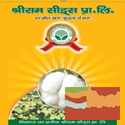 idea99shri-ram-seeds-sriganganagar-sri-ganganagar-rajasthan-cotton-seed-manufacturers-1qqhh3j.png