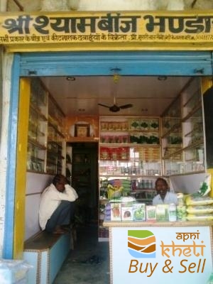 idea99shri-shyam-beej-bhandar-mahwa-dausa-0.jpg