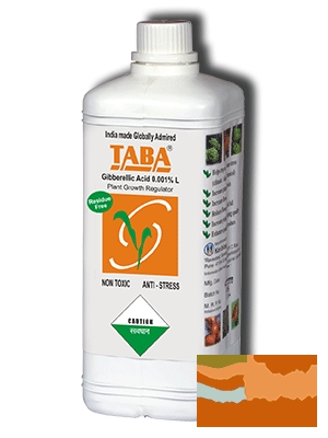idea99taba-new-photo_0.png