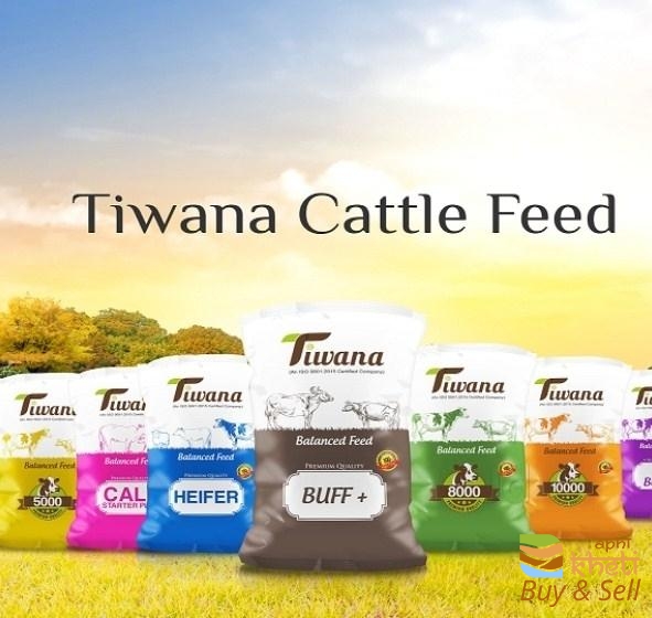 idea99tiwana-oil-mills-pvt-ltd-sirhind-fatehgarh-sahib-cattle-feed-manufacturers-jg5byio.jpg