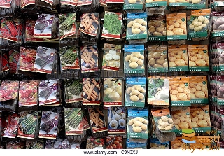 idea99vegetable-seed-packets-on-display-in-a-garden-centre-c3n3xj.jpg