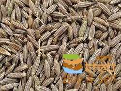 jeera-250x250.jpg