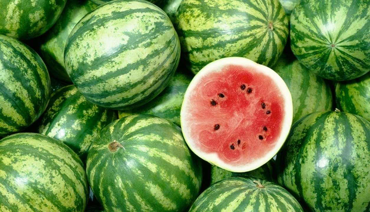 watermelon.jpg