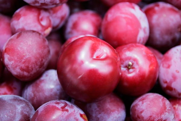 plum-fun-facts.jpg plum-fun-facts.jpg