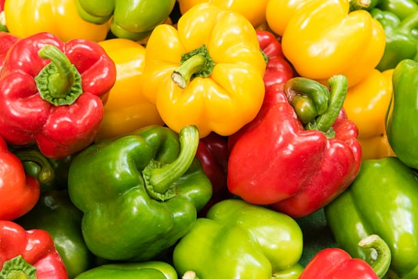 CAPSICUM.jpg