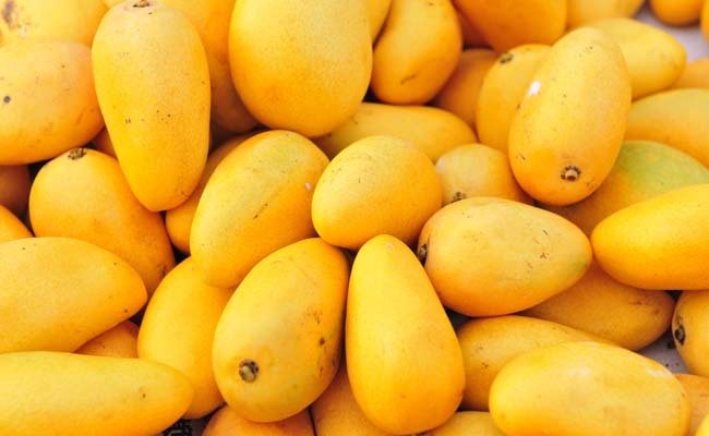 Mango-TheDollarBusiness.jpg Mango-TheDollarBusiness.jpg