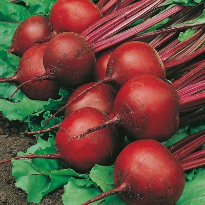 BEETROOT.jpg