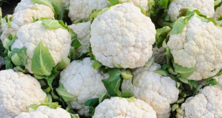 Irrigation of Cauliflower