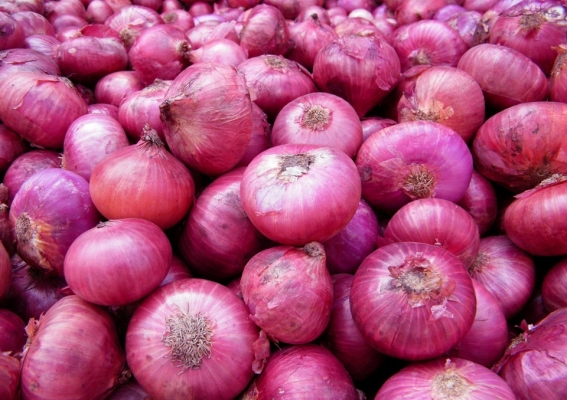Production Of Kharif Onion (pyaz) Crop