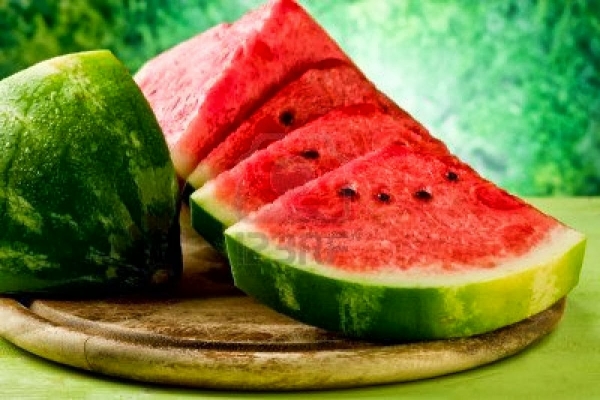 Watermelon Farming Information