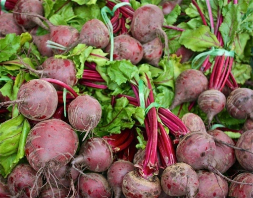 Information of Beetroot