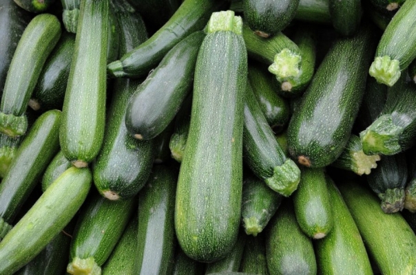 SUMMER SQUASH.jpg