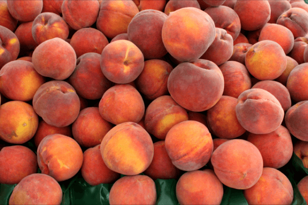 peach.png peach.png