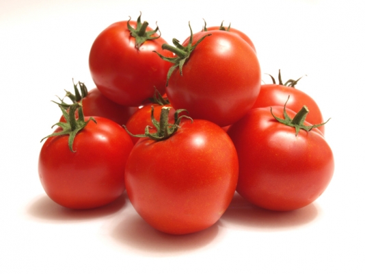 Plantation Of Tomato Crop