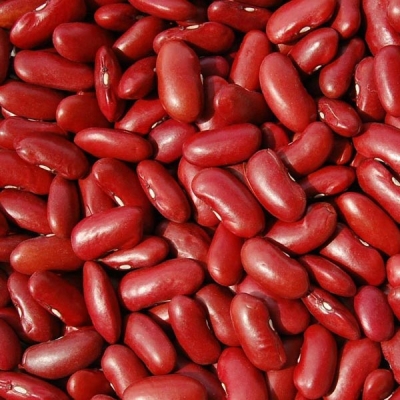 Kidney bean (rajma) Crop