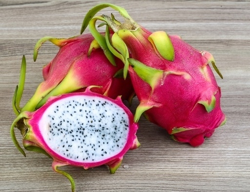 Dragon Fruit Rajasthan