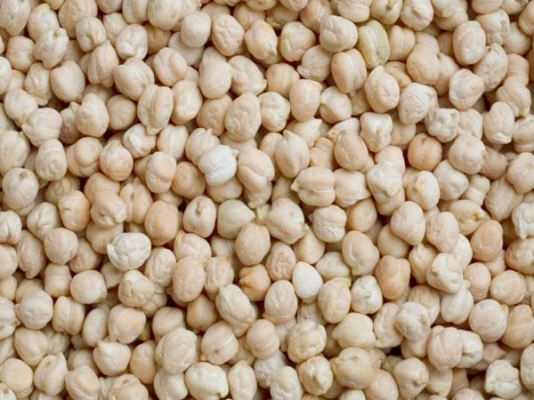 bengal gram.jpg
