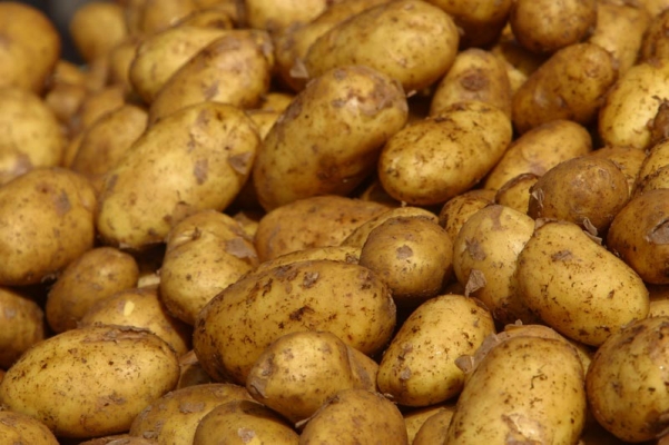 potato.jpg potato.jpg