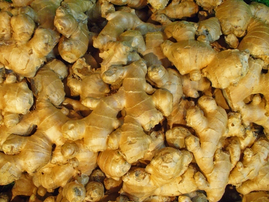 Ginger-1-1600x1200.jpg