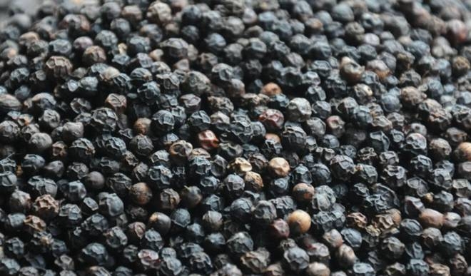 BLACK PEPPER.jpeg