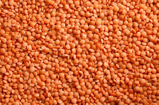 Lentil (Masur) Crop Production