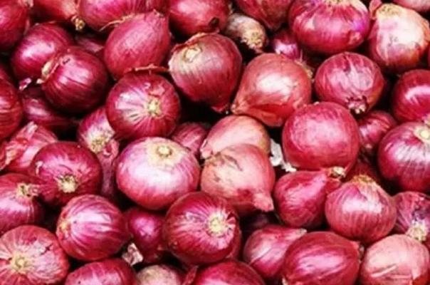 onions.jpg