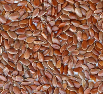 Linseed Seed