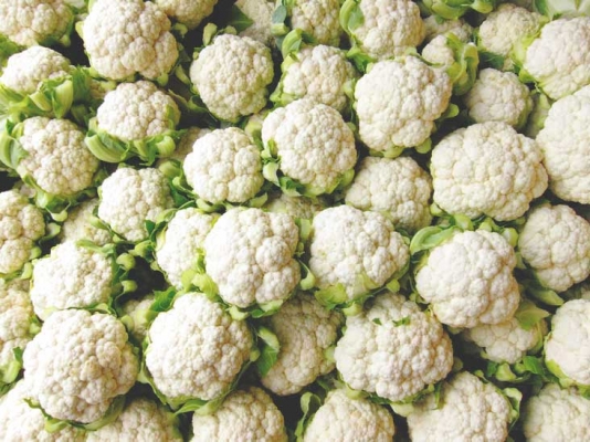 cauliflower-thumb.jpg