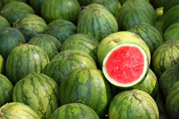watermelon.jpg