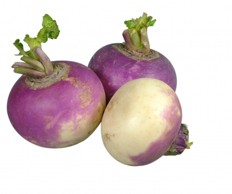 Grow Turnip Crop