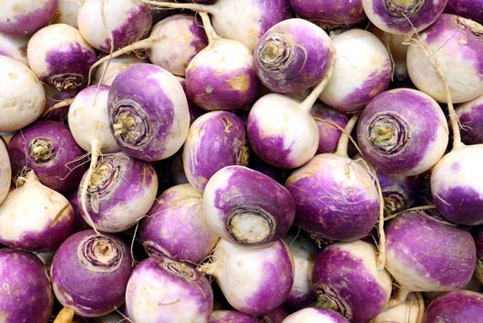 turnip.jpg