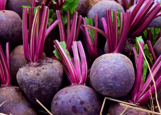 beetroot