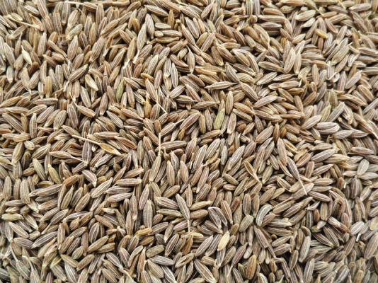 cumin-seeds-568191.jpg