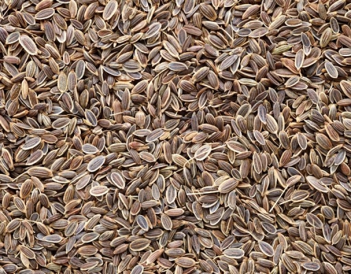 DILLSEEDS.jpg