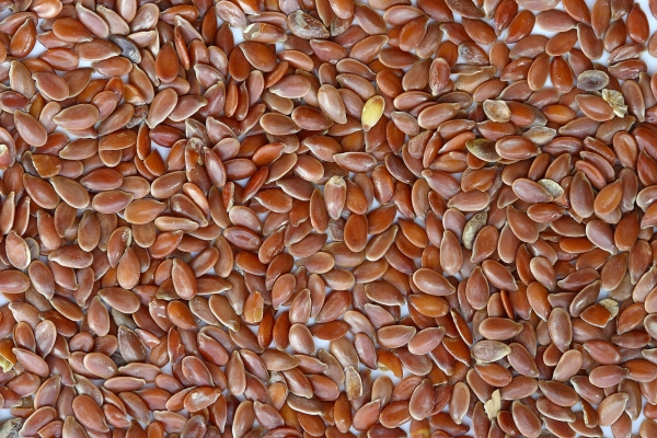 Brown_Flax_Seeds.jpg