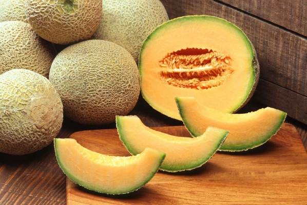 Muskmelon Horticulture Punjab