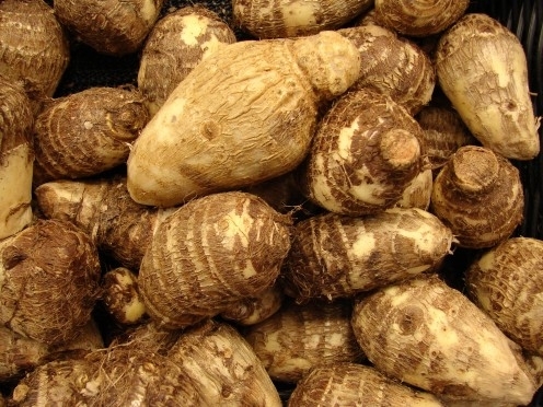 ARUM.jpg