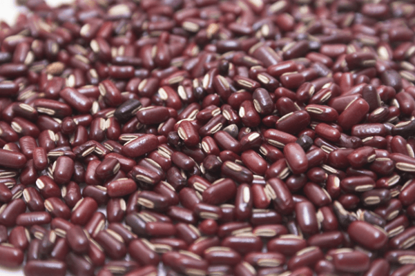 Ricebean Crop Farming