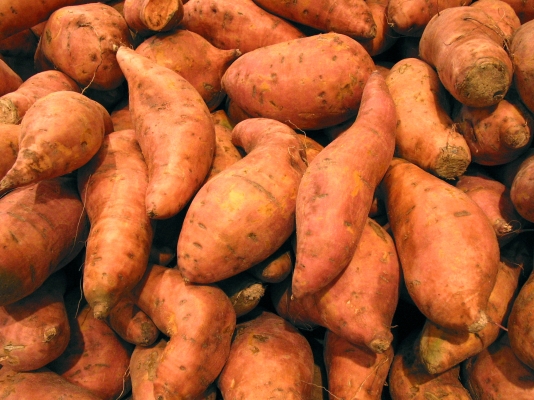 Sweet Potato Information