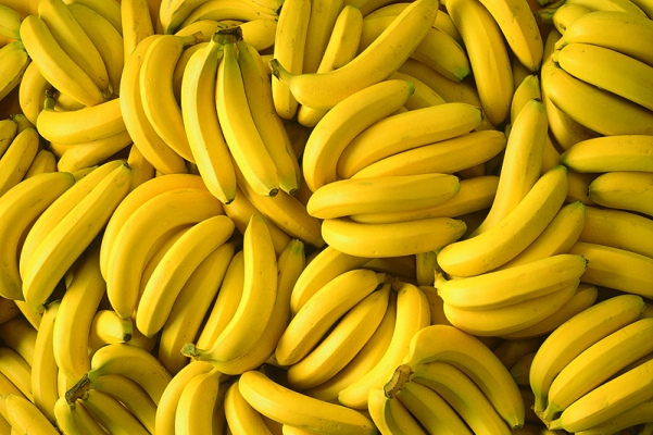 Banana Planting Information